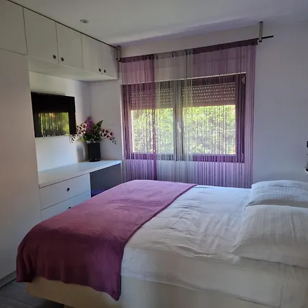 2xl Medolino
