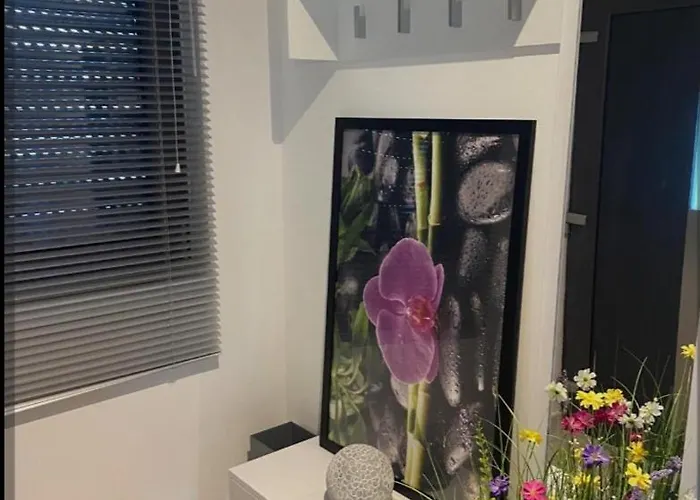 2xl Apartment
